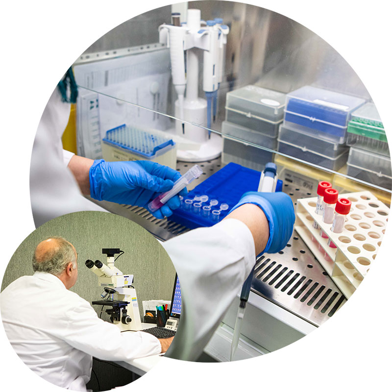 Mebios Laboratorio di Analisi Cliniche Pozzuoli Napoli